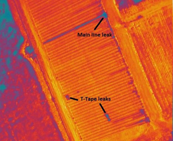 perth ndvi crop inspections by drone western australia